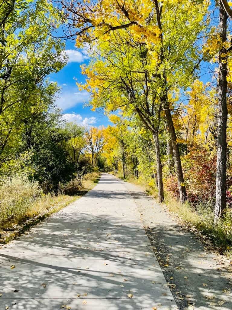 Fall colors along the bike path